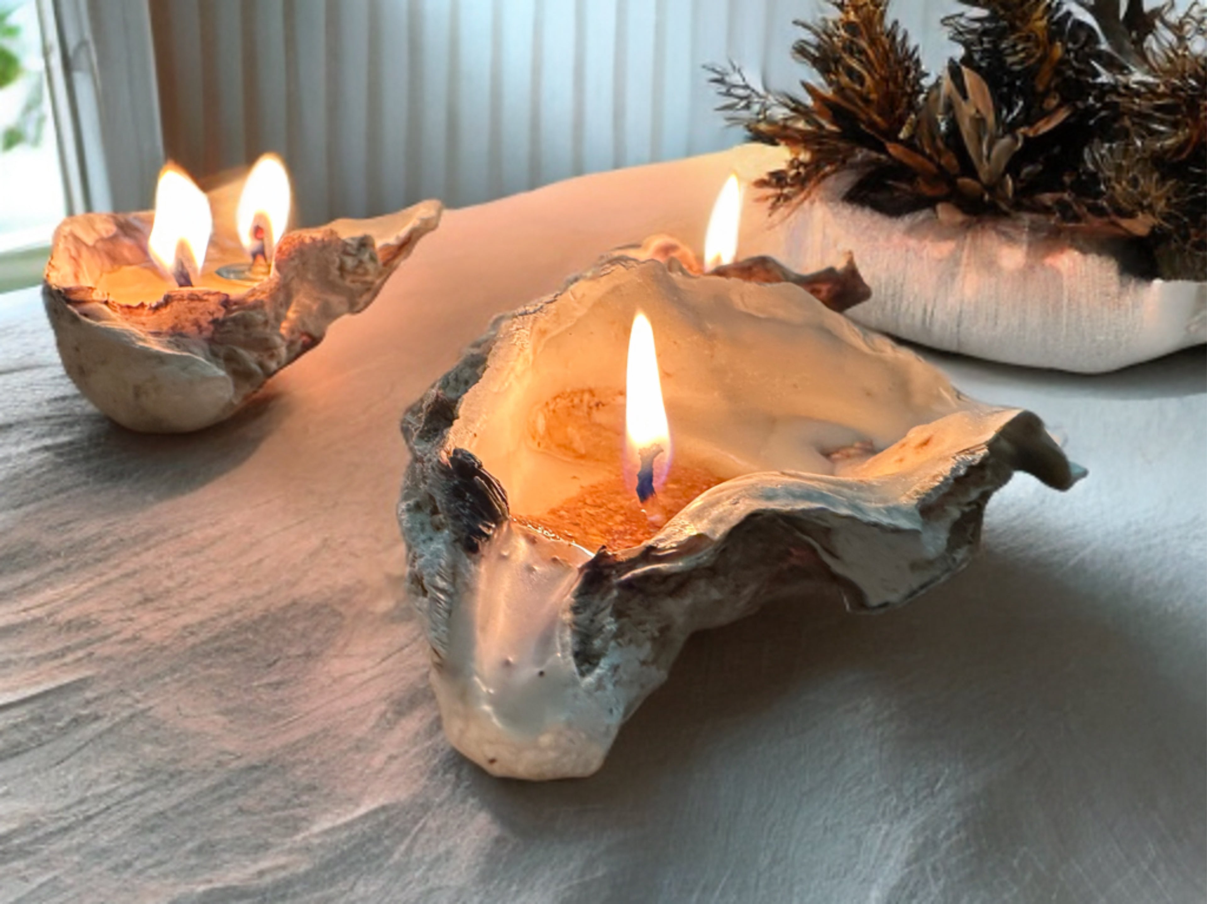 Sand-Bank Oyster Candle