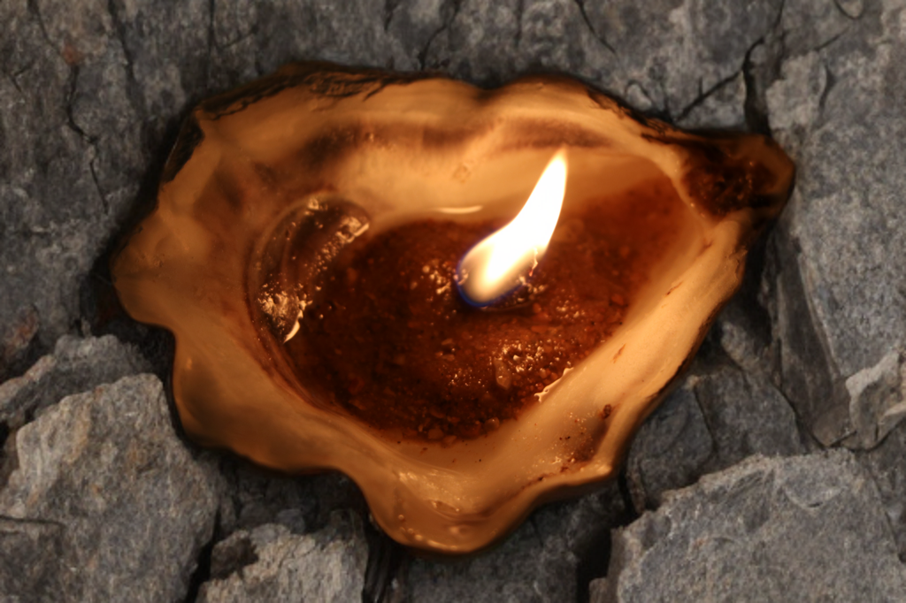 Sand-Bank Oyster Candle
