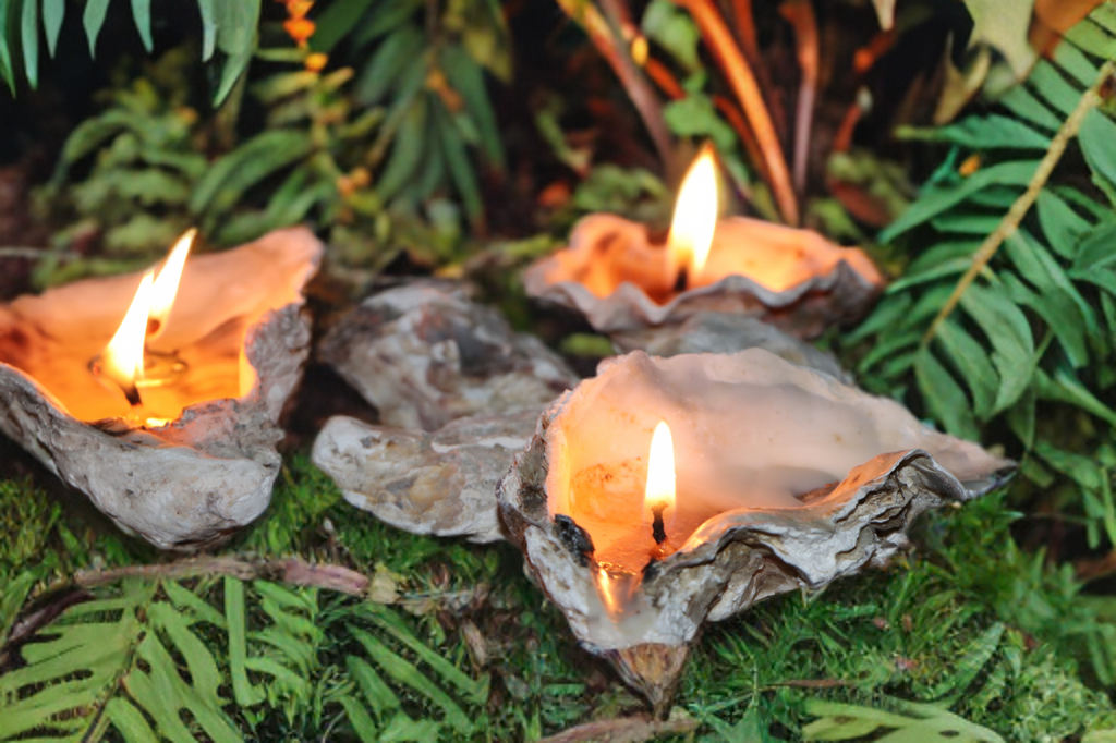 Sand-Bank Oyster Candle