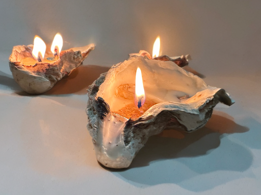 Sand-Bank Oyster Candle