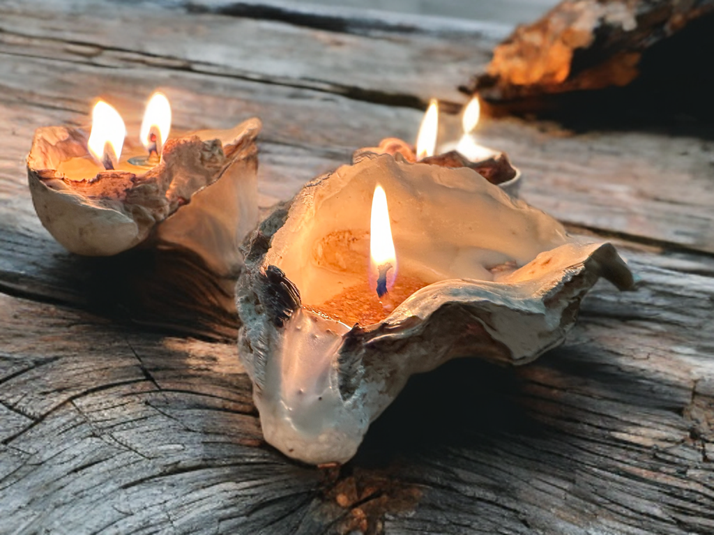 Sand-Bank Oyster Candle
