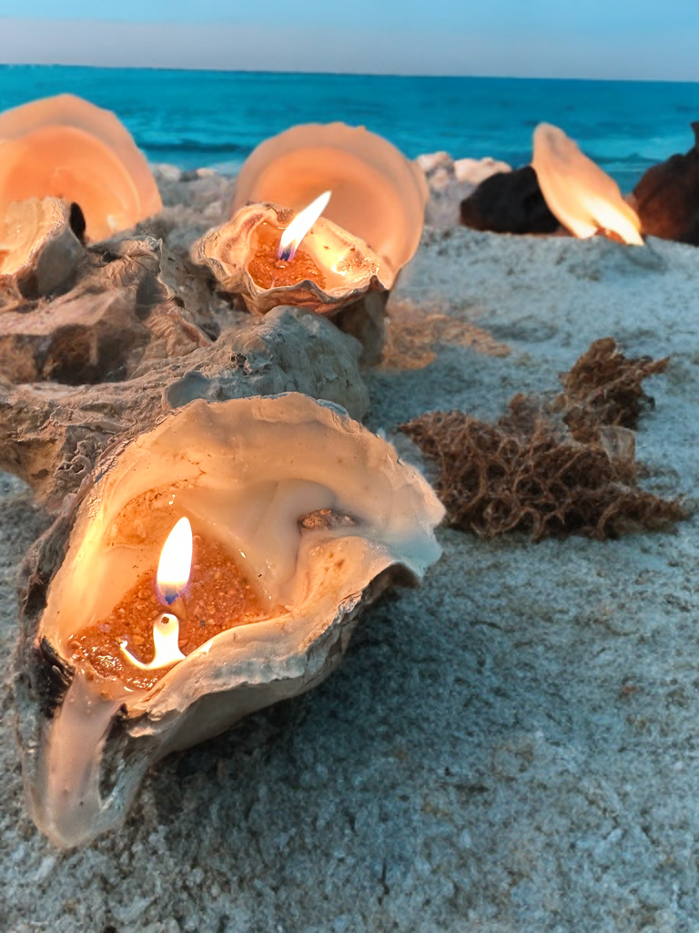 Sand-Bank Oyster Candle