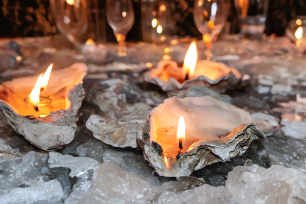 Sand-Bank Oyster Candle