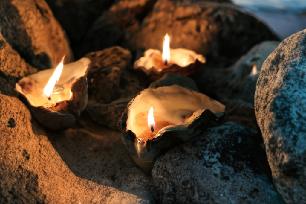 Sand-Bank Oyster Candle