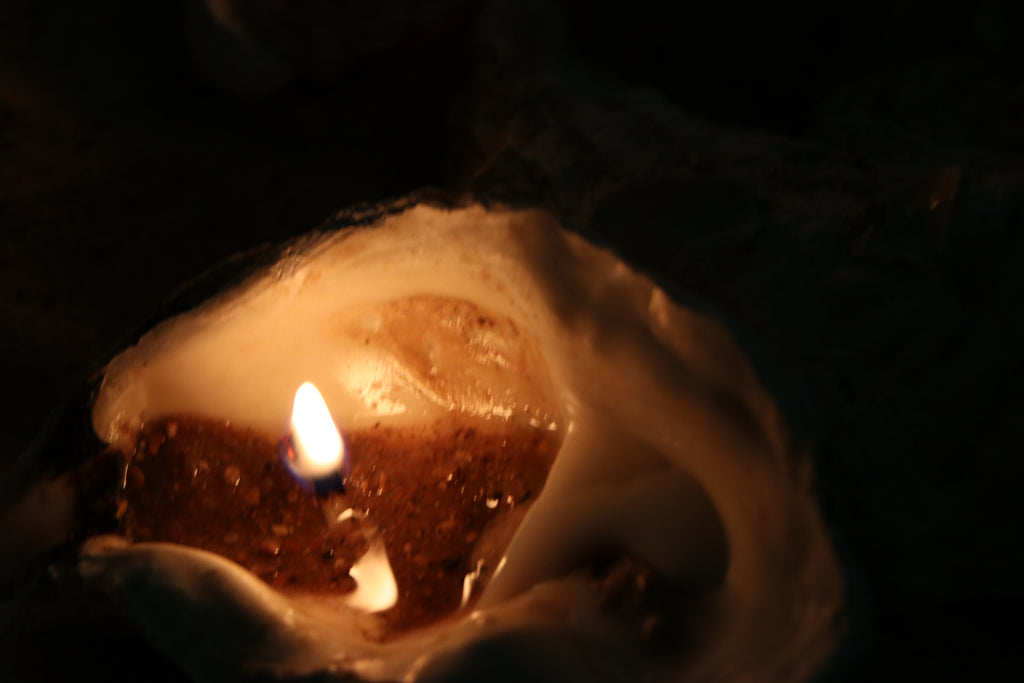 Sand-Bank Oyster Candle