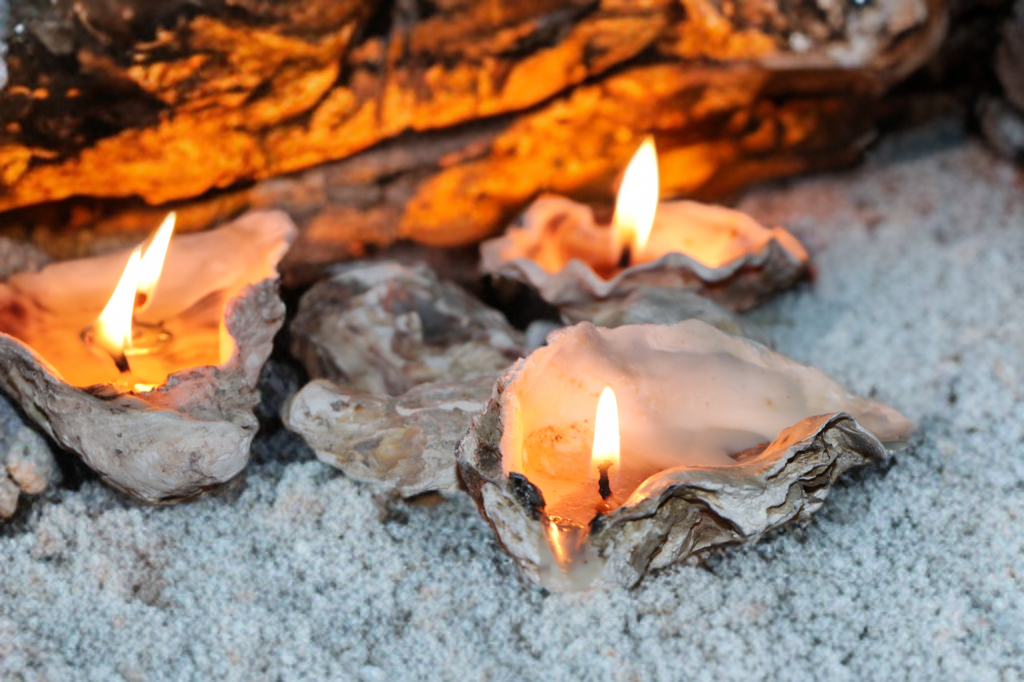 Sand-Bank Oyster Candle