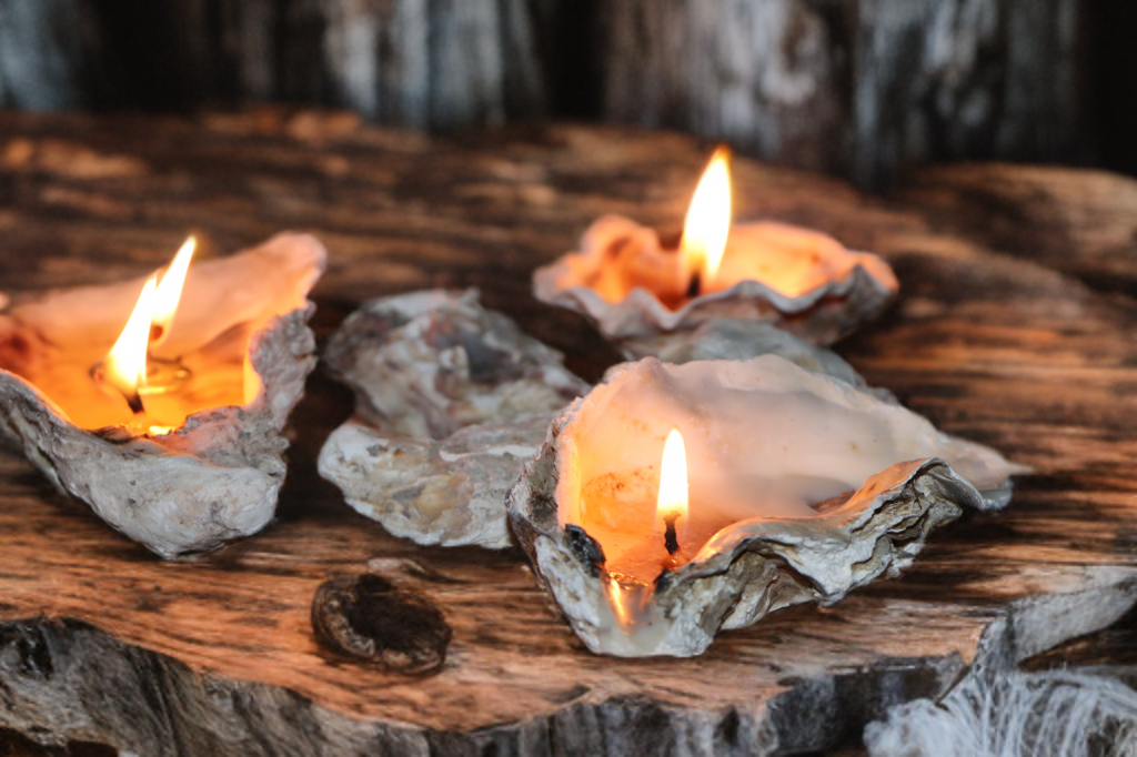 Sand-Bank Oyster Candle